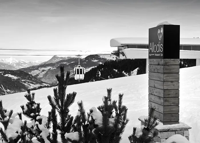 Otel Allodis